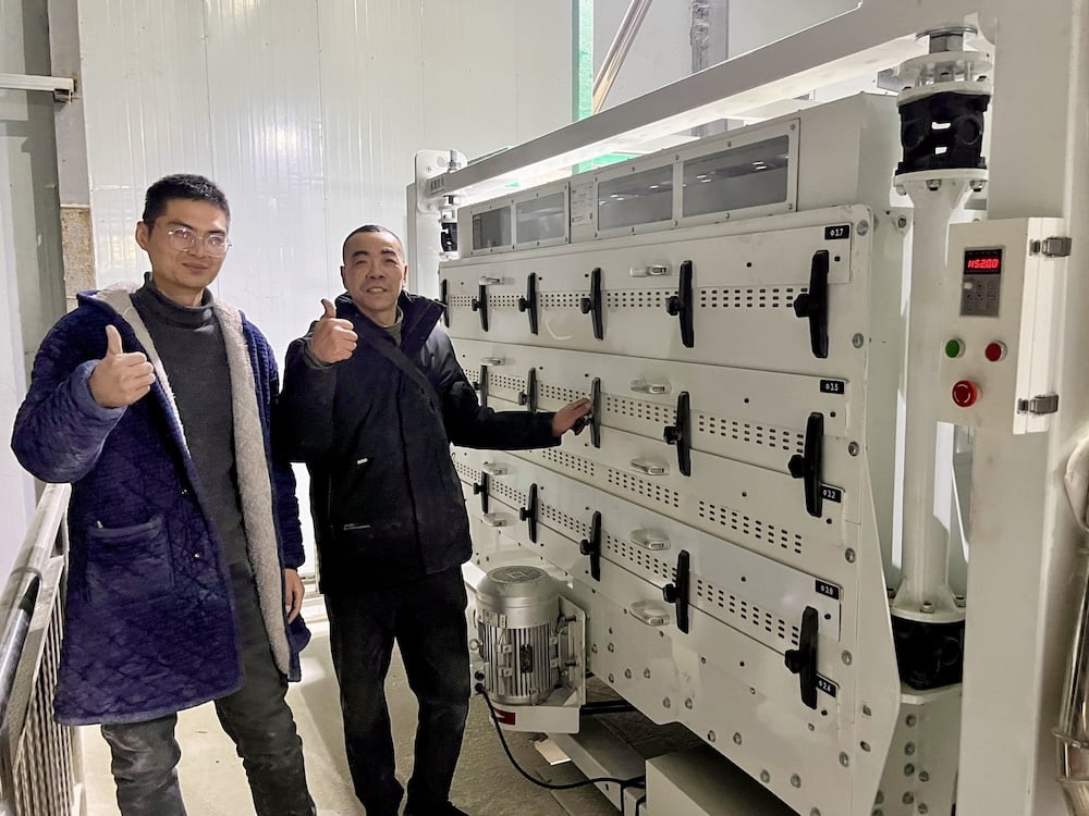 展鹰粮机 MMJM240 大型白米分级筛设备运行实景 - 现场安装验收完成