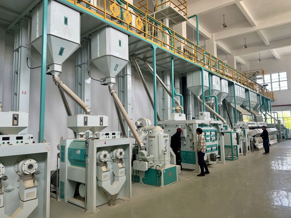 展鹰粮机知识科普：大米加工产线配置与设备布局全景